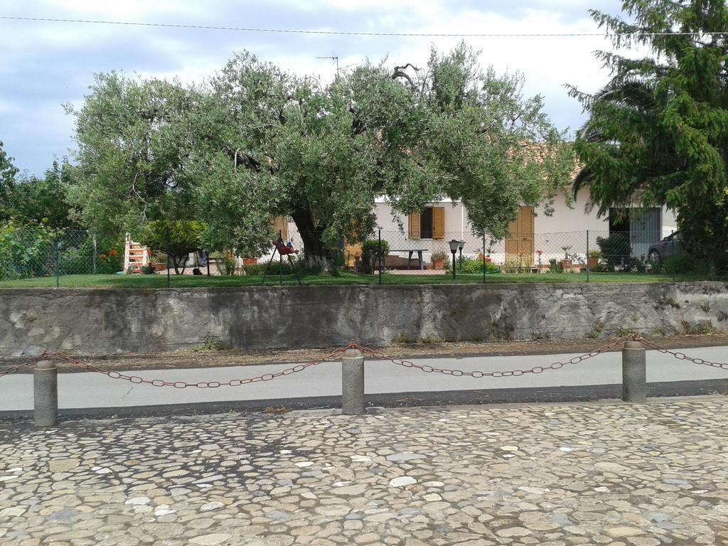 Villa Etna Piedimonte Etneo Exterior photo